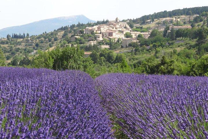 Lavanda Tour Sault de Marselha