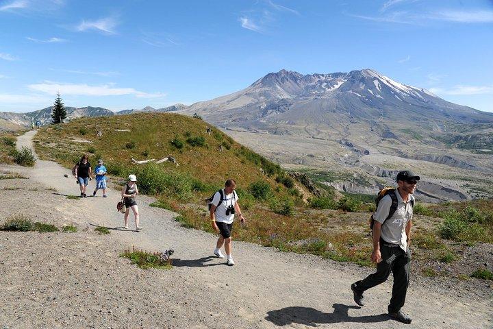 Mount St. Helens från Portland : All-inclusive rundtur i liten grupp