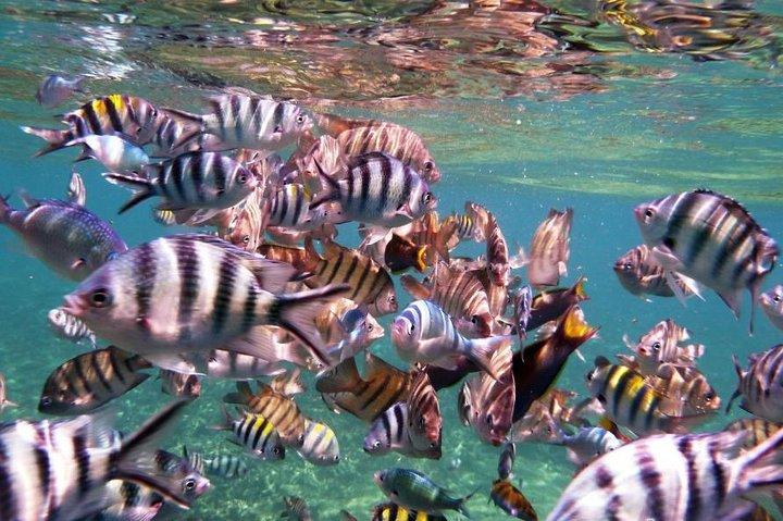 Schnorchel-Tagesausflug zur Perhentian-Insel vom Kuala Besut Jetty aus