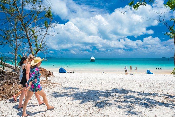 Tour mattutino o pomeridiano di Whitehaven Beach