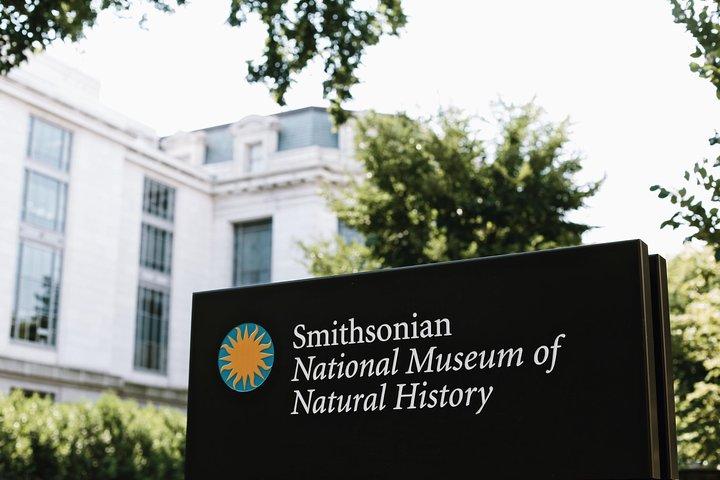 Museo Smithsonian de Historia Natural: visita guiada exclusiva