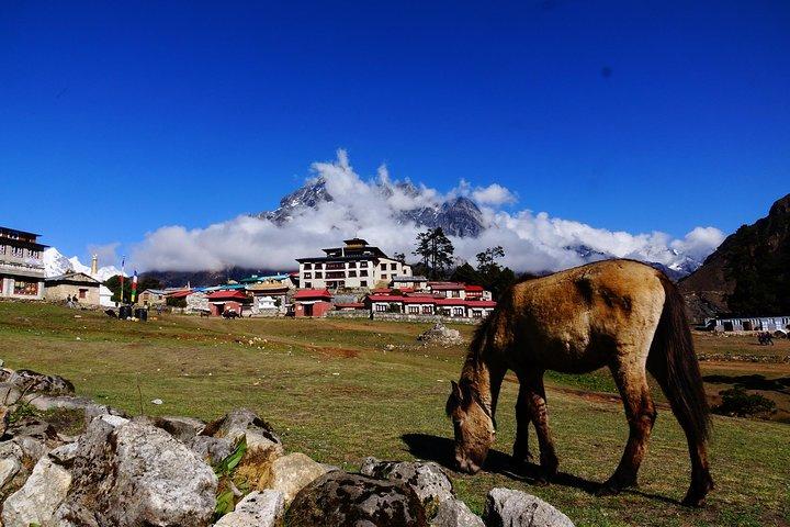 Caminata al campamento base del Everest