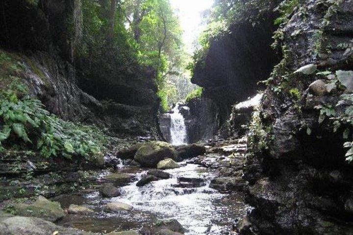 Dagtocht naar het Hidden Valley Spring Resort vanuit Manilla