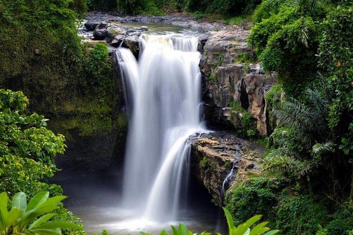 Sin colas: Tour de Ubud - Entradas con todo incluido