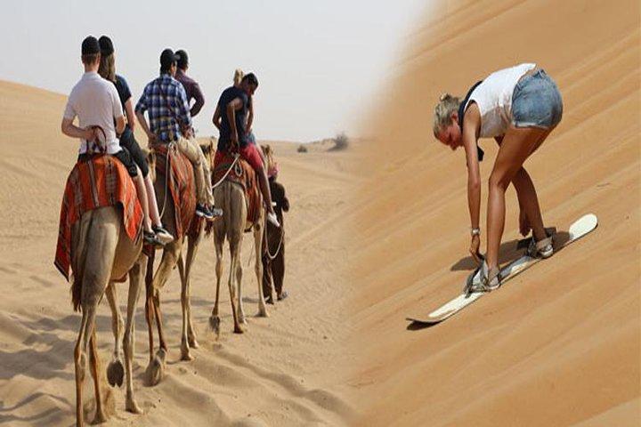Vormittagssafari Dubai