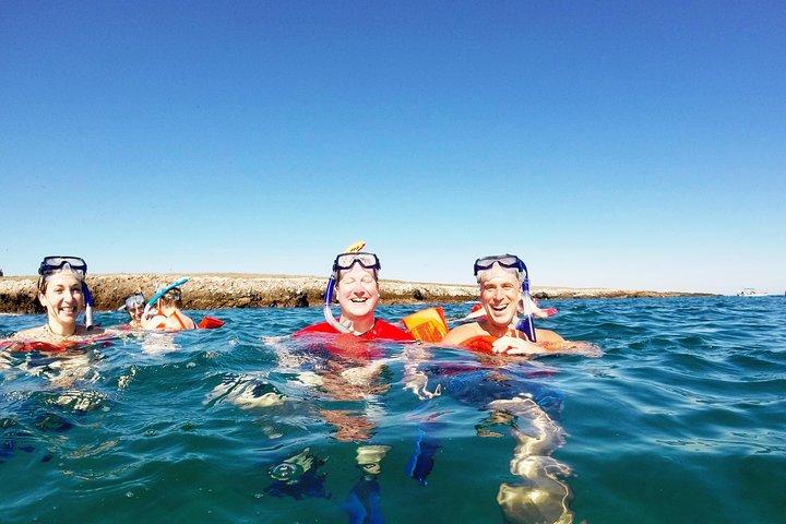 Marietas-eilanden snorkelen en verborgen strand (met beperkingen)