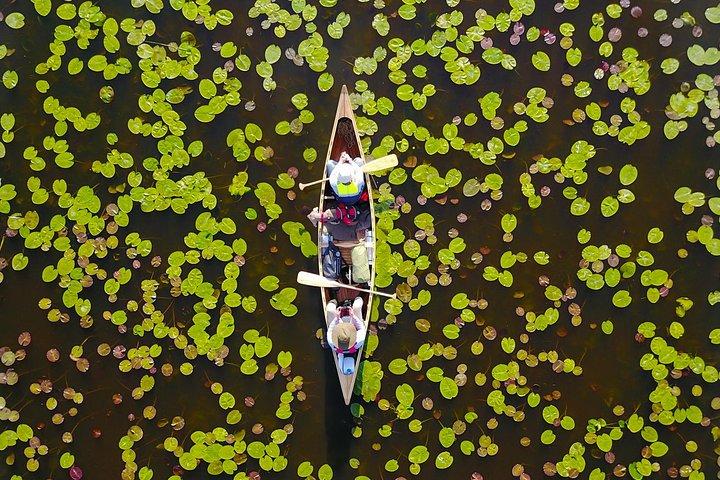 BIRDWATCH - Premium gegidste kanotocht op Cape Vente, regionaal park Nemunas Delta
