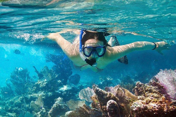 Cozumel Snorkeling Tour em Palancar & Colombia Reefs e El Cielo