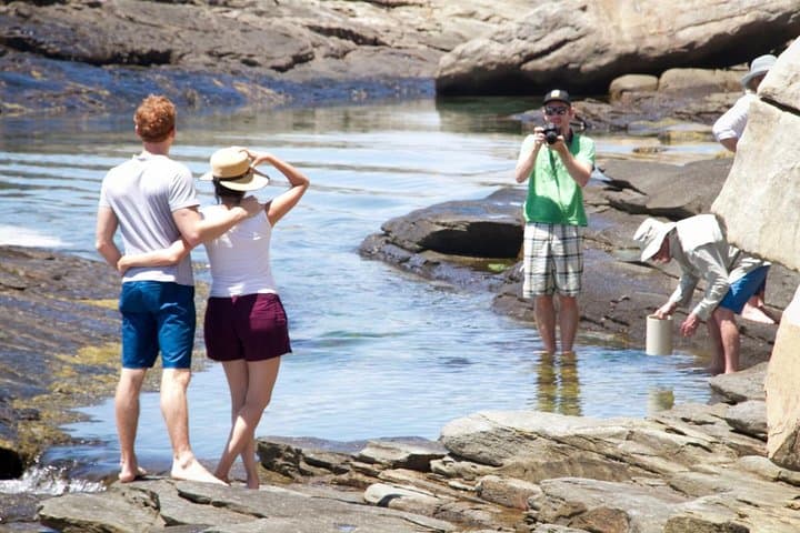 Cape Peninsula with a Marine Biologist