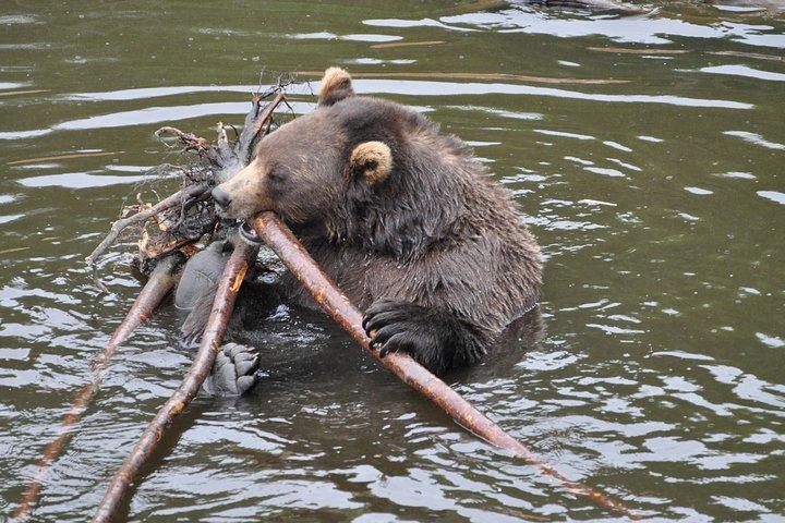 PREMIUM Sitka Scenic Tour