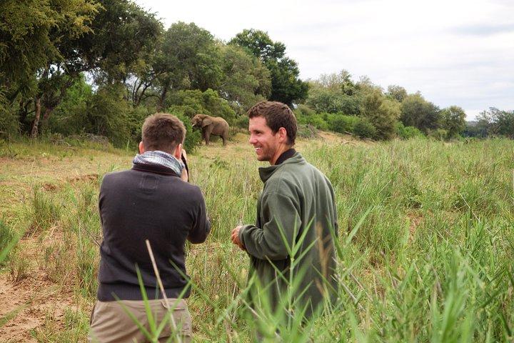 5-daagse Lodge en Treehouse Kruger National Park Safari