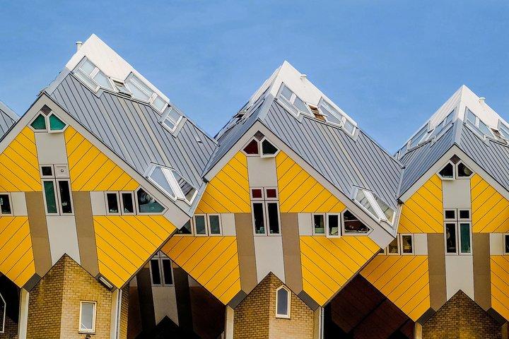 Privat tur: Rotterdam Walking Tour Inklusive Harbour Cruise