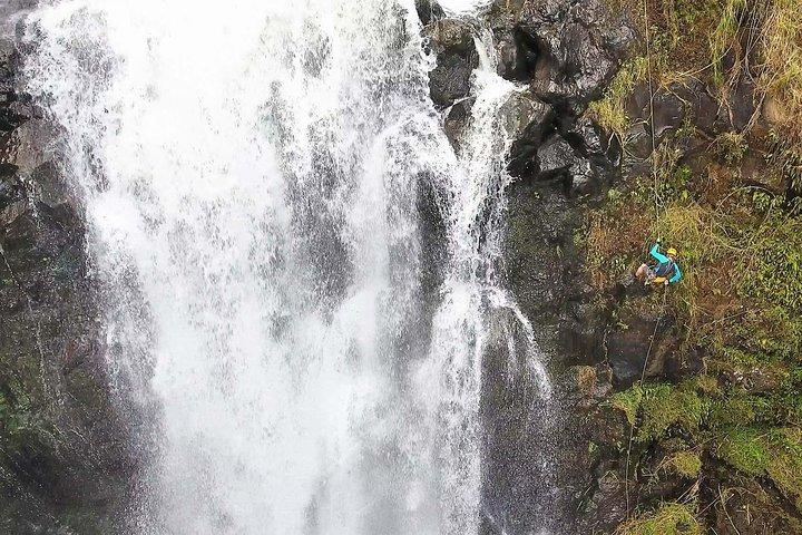 Discesa in corda doppia alle cascate di Kulaniapia: 120 piedi di caduta, a 15 minuti da Hilo