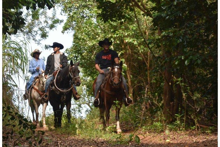 West Maui Mountain Waterfall e tour dell'oceano a cavallo