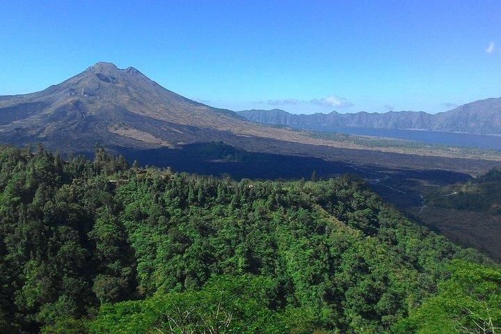 バリ島1日:棚田、火山、タナロット - オールインクルーシブ
