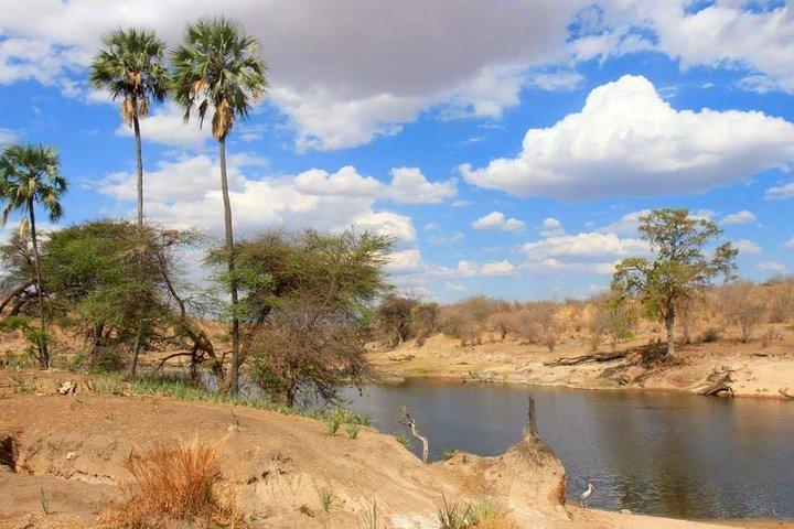 Selous Game Reserve Road Trip- Safari en barco, Safari en coche y paseo