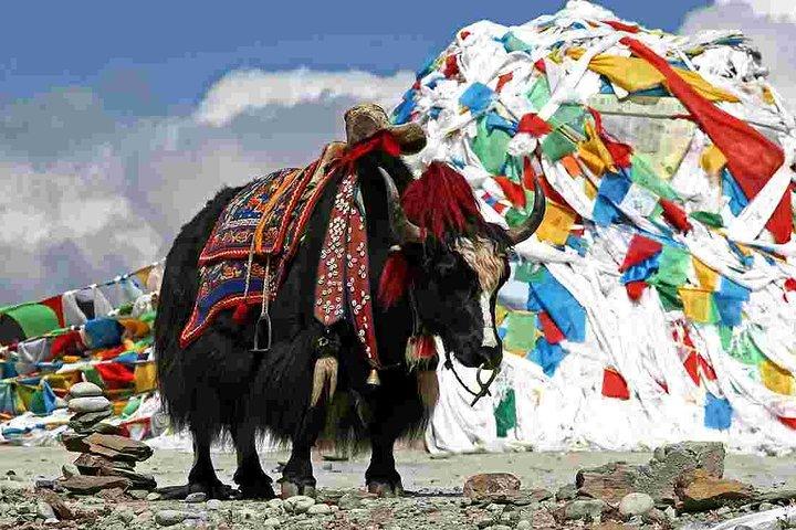 Bhutan-pakketreis - 6 dagen