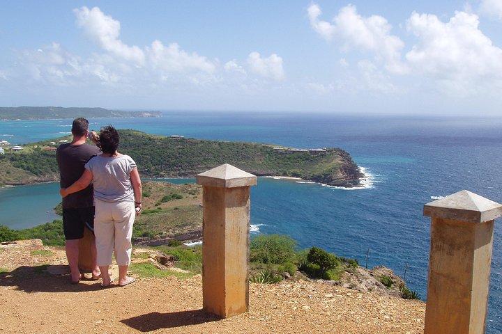 Island Safari Entdeckung