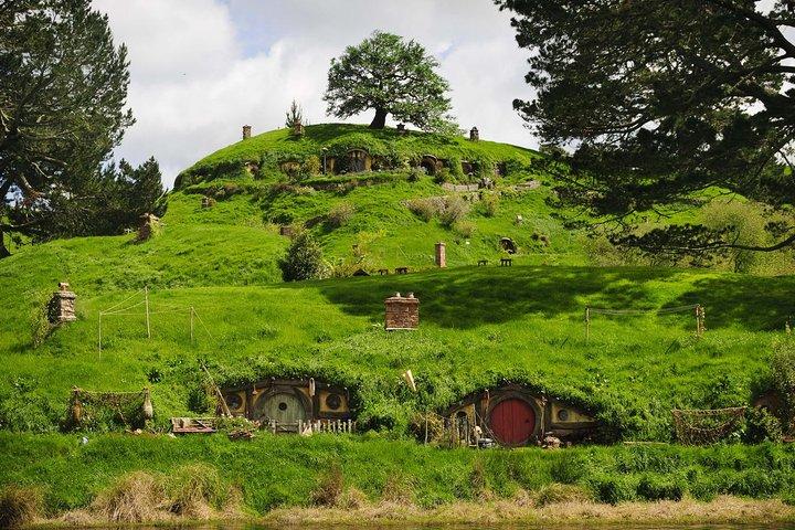 Sanctuary Mountain (Mt Maungatautari) e Hobbiton Day trip da Auckland
