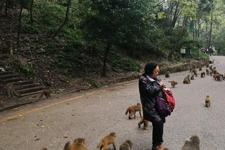 Excursão privada ao dia em Guiyang, incluindo a cidade antiga de Qingyan e o parque Qianling