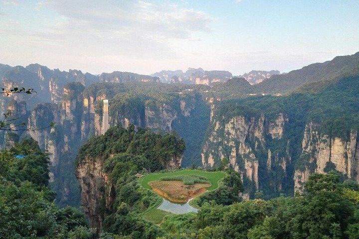 Zhangjiajie National Forest Park Tagestour inklusive Mittagessen