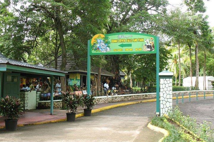 Halve dagtrip van Montego Bay naar Dunn's River Falls