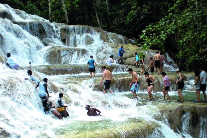 Halve dagtrip van Montego Bay naar Dunn's River Falls