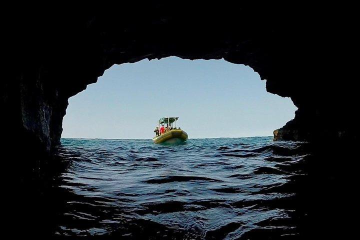 Spedizione di snorkeling per piccoli gruppi a South Kona