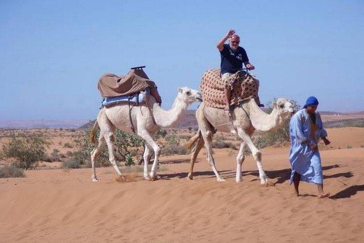 Agadir Desert Safari Day Trip med frokost og Agadir City Tour