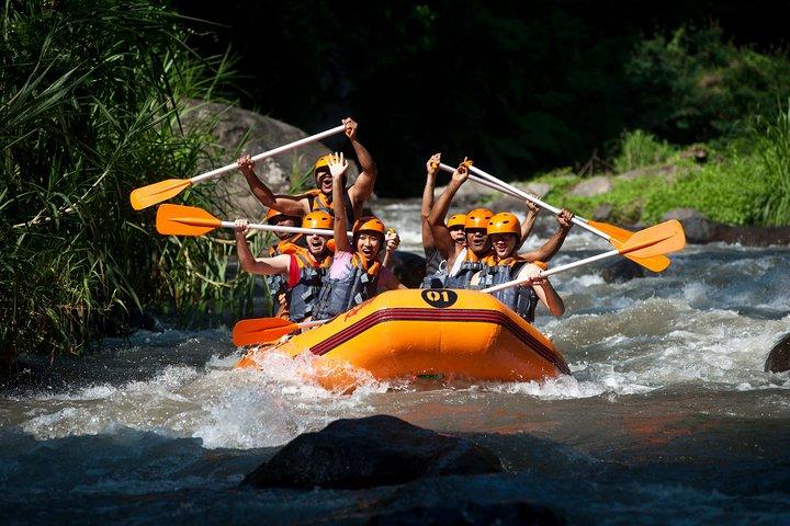 Ubud Tour And Bali White Water Rafting