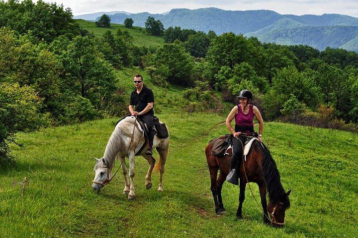 バルカン乗馬 - Glozhene Monastery Ride