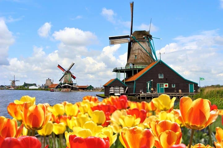 Amsterdam: Keukenhof, Zaanse Schans Windmills, Cheese Guided Tour