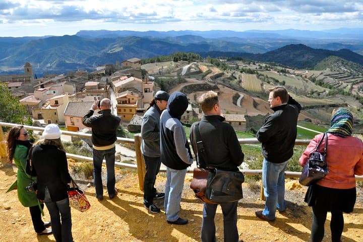 Private Priorat Tour with Wine Tastings & Lunch from Barcelona