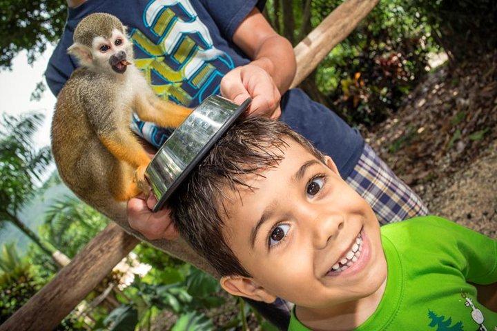 Excursion-safari à Monkeyland et dans une plantation au départ de Punta Cana