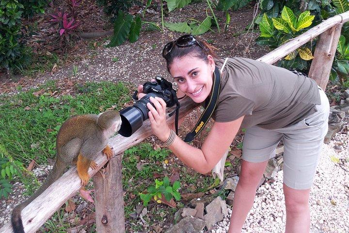 Monkeyland and Plantation Safari di La Romana