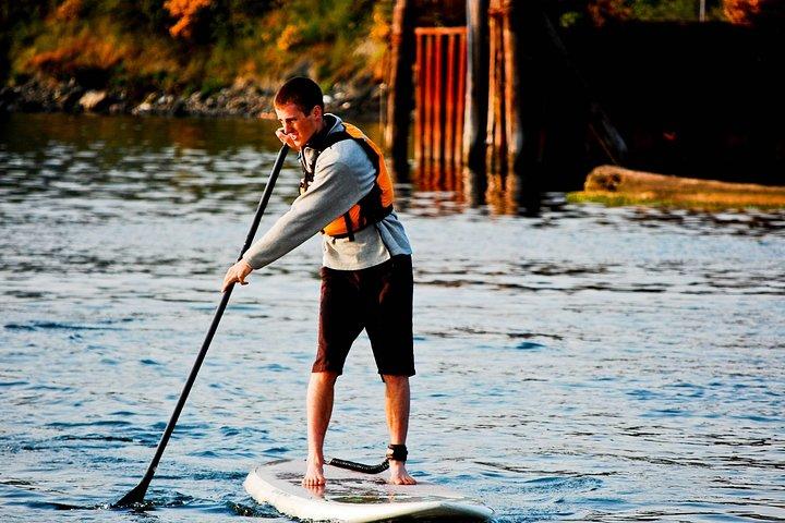 Victoria Harbor Stand-Up Paddleboard Tour