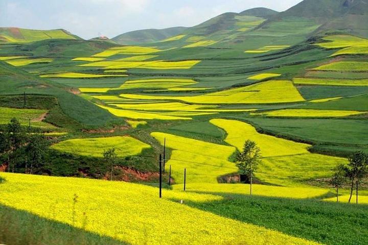1-dages Longsheng ris terrasse tur fra Guilin med privat guide og driver