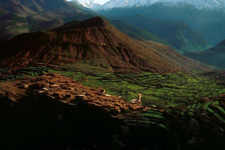 Da Marrakech: gita di un giorno alle montagne dell'Atlante della valle di Ourika
