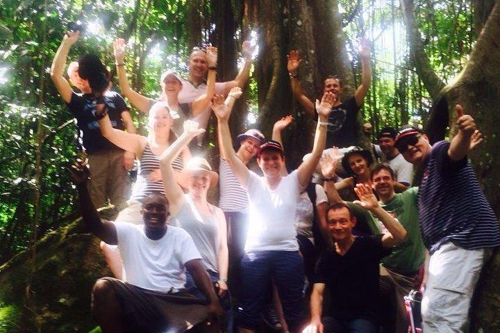 St. Kitts Rainforest Tour