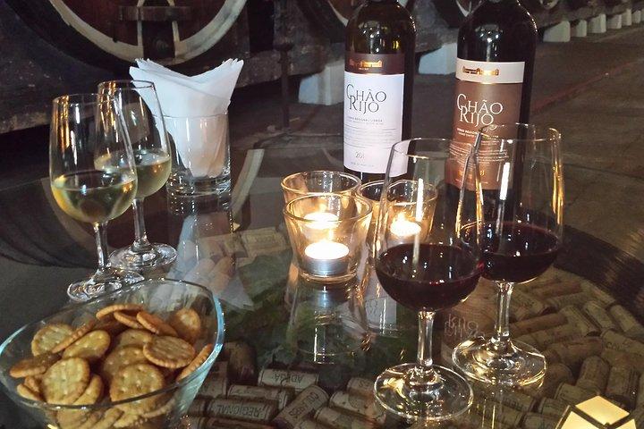 Private Sintra Tour from Lisbon with Wine Tasting and Regaleira Palace
