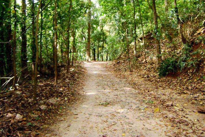Privé Vogels kijken Trail in Udawatte Kele Sanctuary
