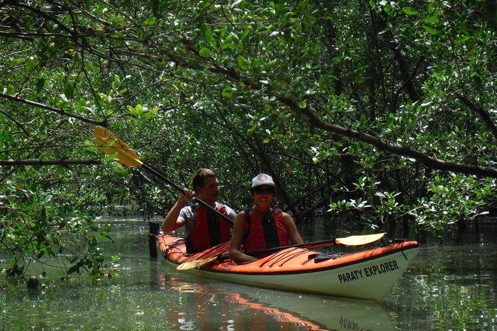 Tour di mangrovie, spiagge e isole in kayak