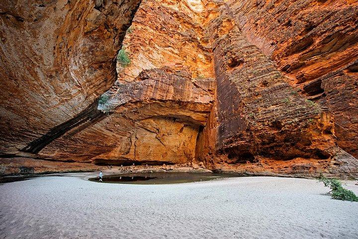 Vols panoramiques dans la jungle, dômes et promenade dans les gorges de la cathédrale
