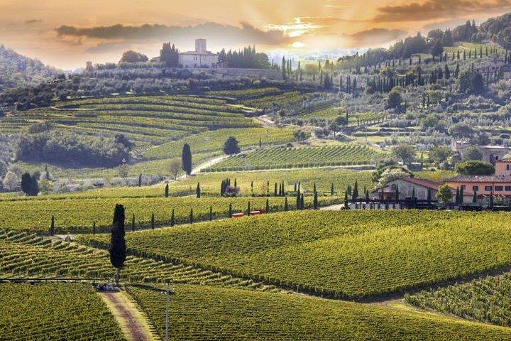 Livourne Shore Excursion: Expérience exclusive du vin