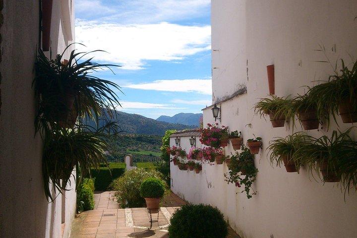 Private White Villages & Ronda Day Tour vanuit Sevilla
