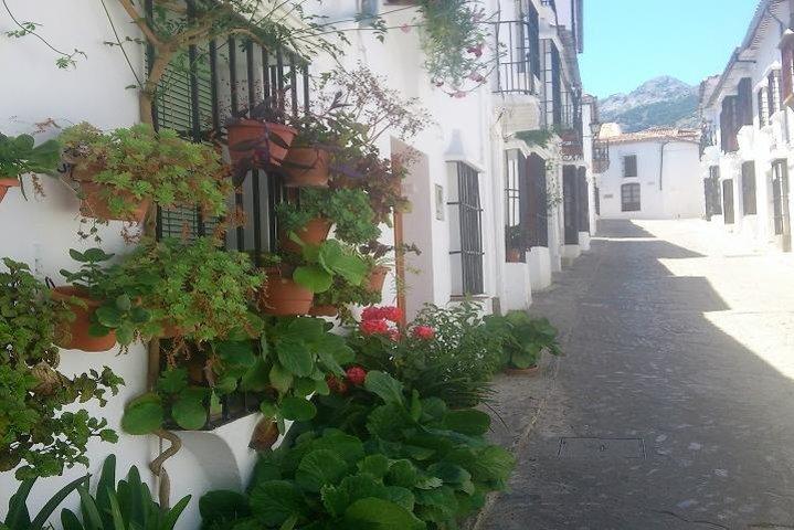 Witte dorpen en Ronda 2-daagse tour vanuit Sevilla