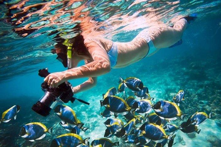 Volledige dagtour naar red sea safaga vanuit Luxor