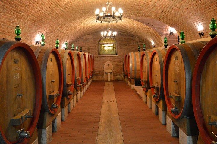 Pagus Wine Tours® - Två Amarone vingårdar - Halvdags vintur