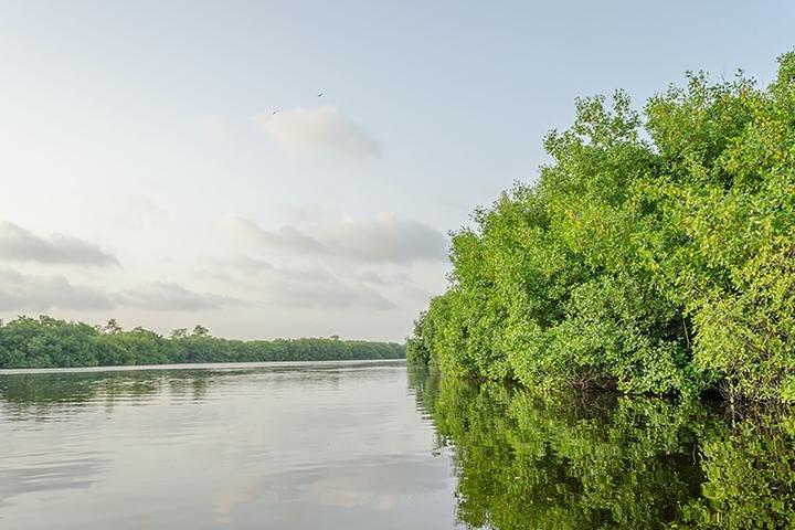 Tour privato da Riviera Maya a Nichupte Lagoon Wildlife