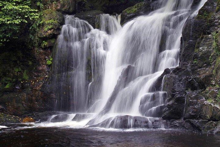 Excursion d'une journée à l'Anneau du Kerry au départ de Limerick : y compris le parc national de Killarney